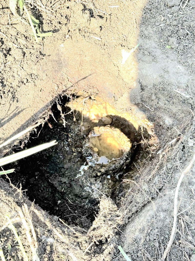 Septic tank pumping service